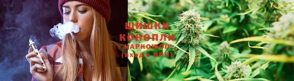 ГАЛЛЮЦИНОГЕННЫЕ ГРИБЫ Алзамай